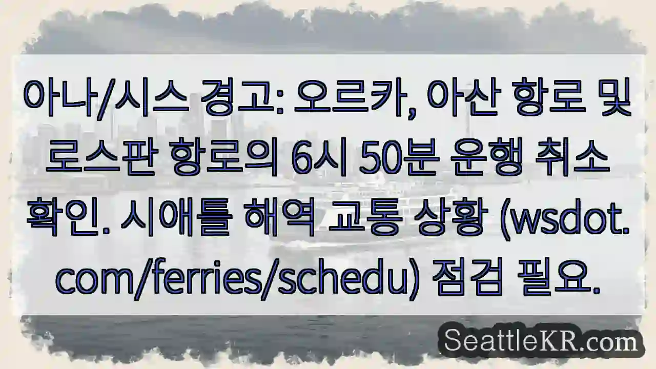 오르카 항로 운행 취소!