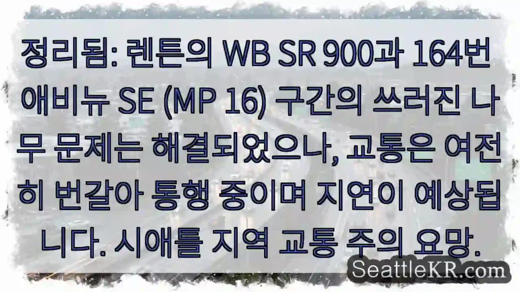 나무 제거 완료, 교통 주의!