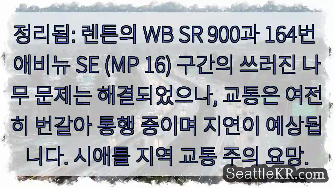 나무 제거 완료, 교통 주의!
