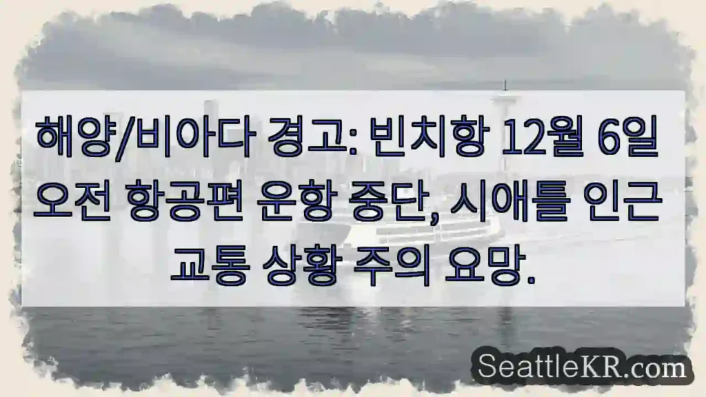 빈치항 ✈️정지! 6일 오전 ✈️