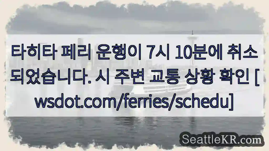 페리 운행 취소!