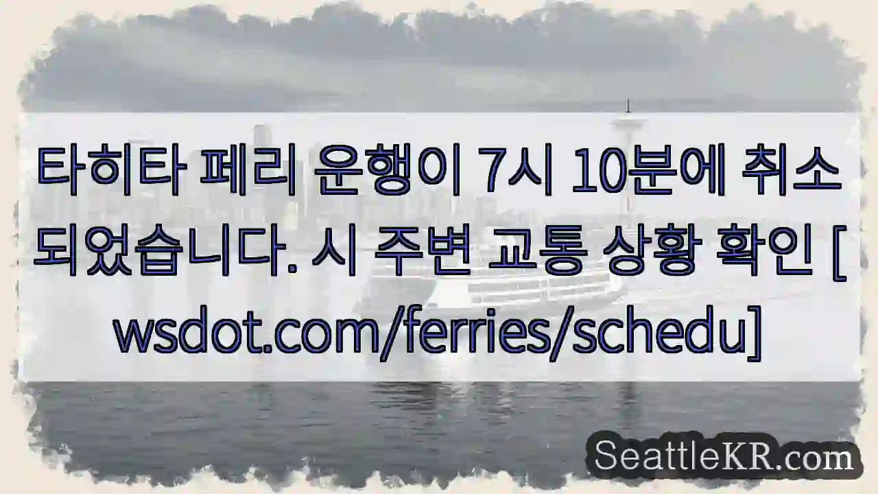 페리 운행 취소!