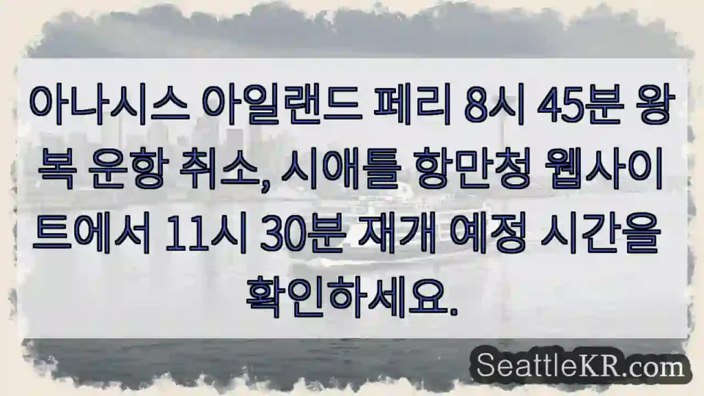 페리 운항 중단! 확인 필수