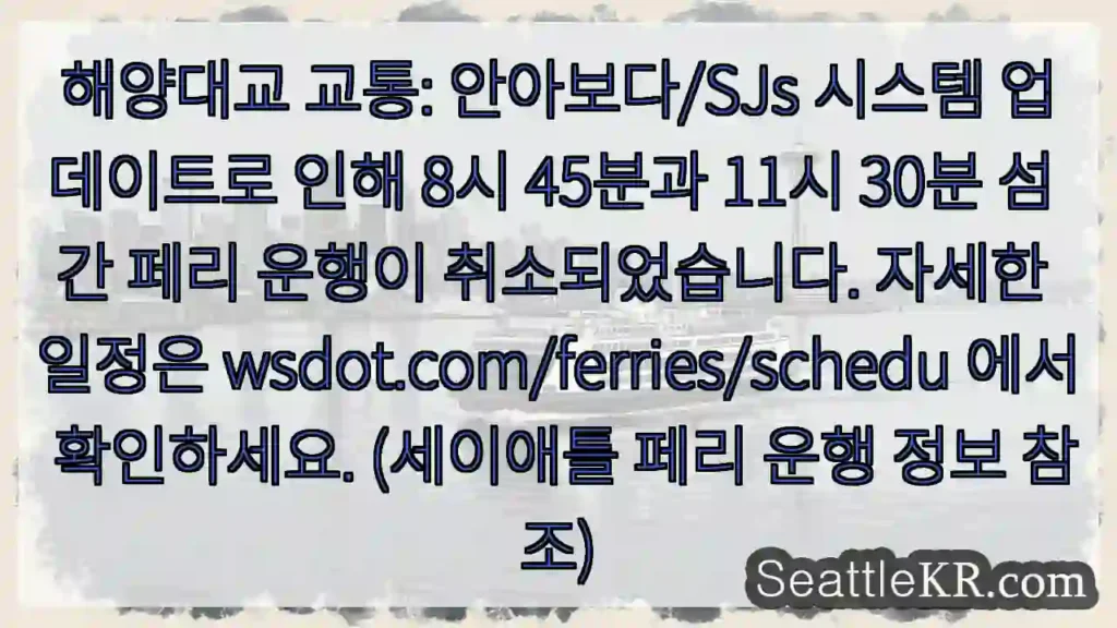 페리 운행 취소! 확인 필수