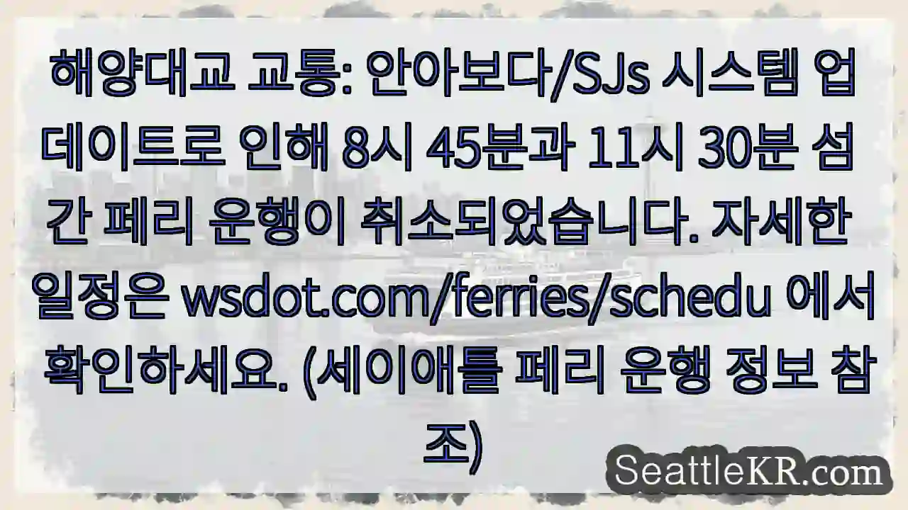 페리 운행 취소! 확인 필수