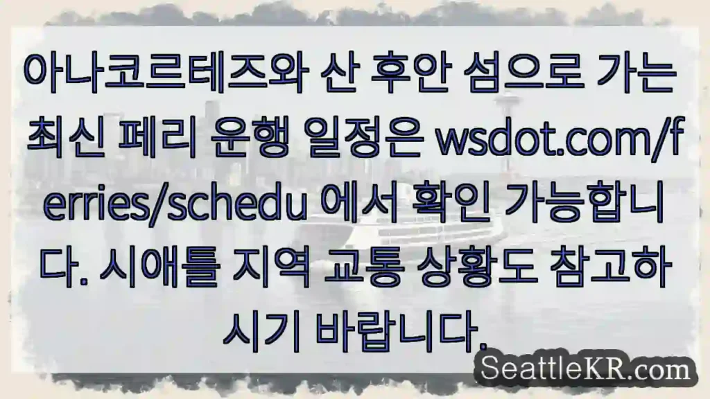 아나코르테즈 페리 시간 확인!