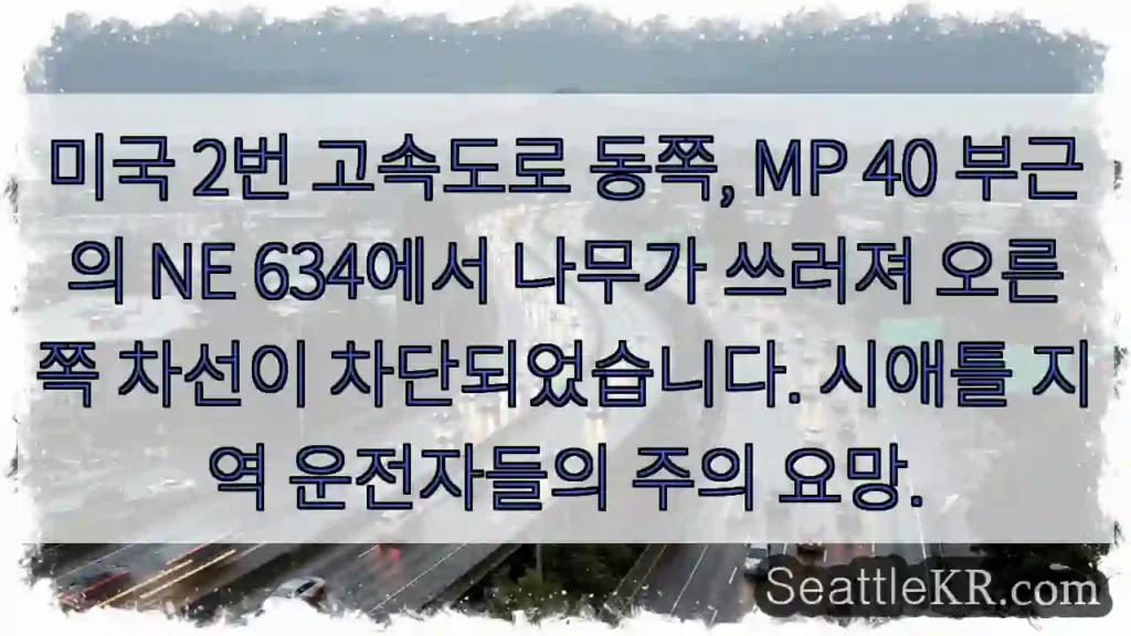 나무 넘어짐! 오른쪽 차선 차단