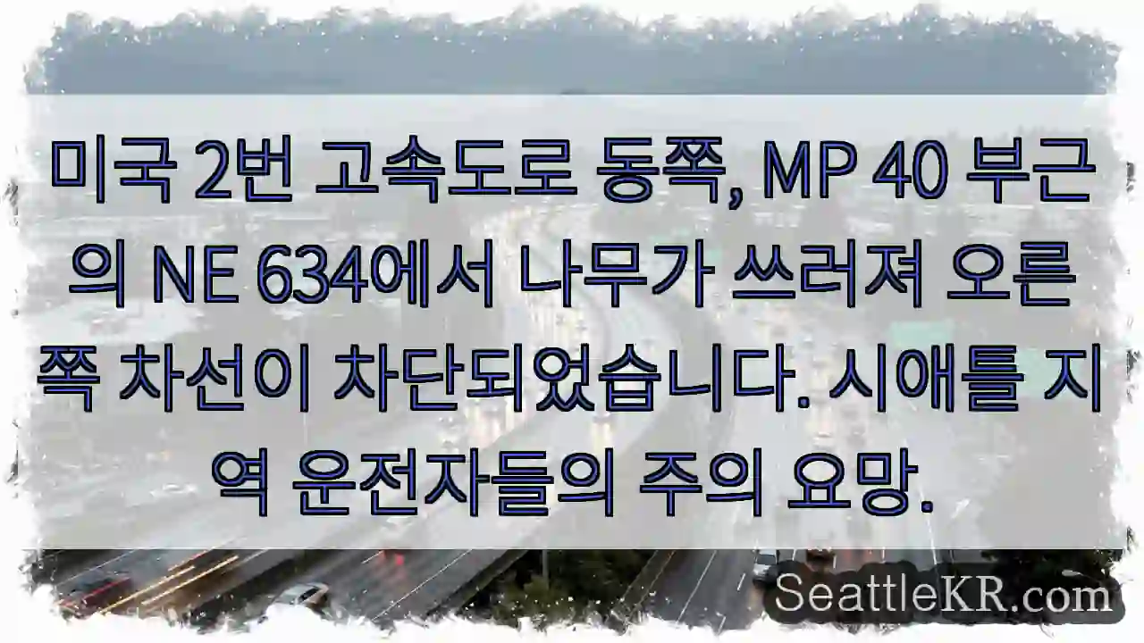 나무 넘어짐! 오른쪽 차선 차단