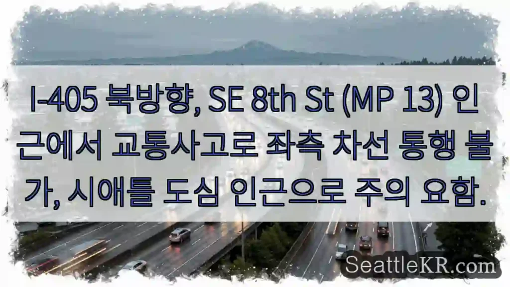 사고 구간! 좌측 차선 통행 불가