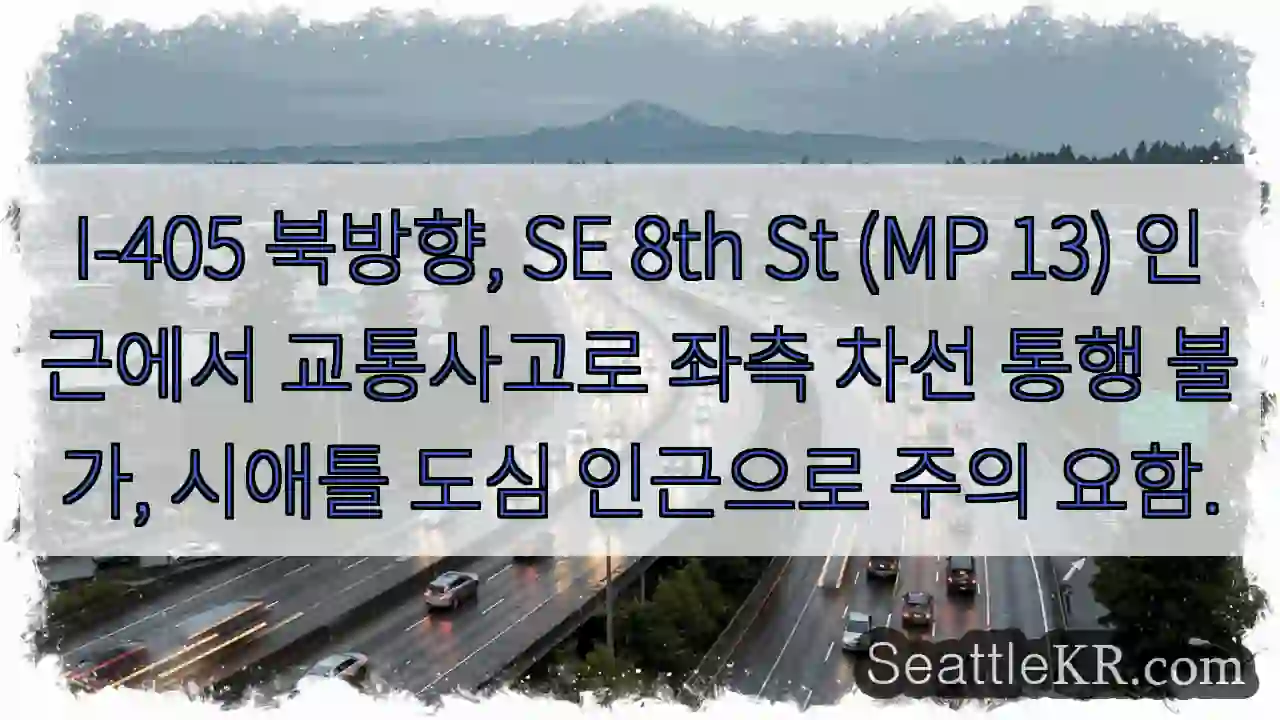 사고 구간! 좌측 차선 통행 불가