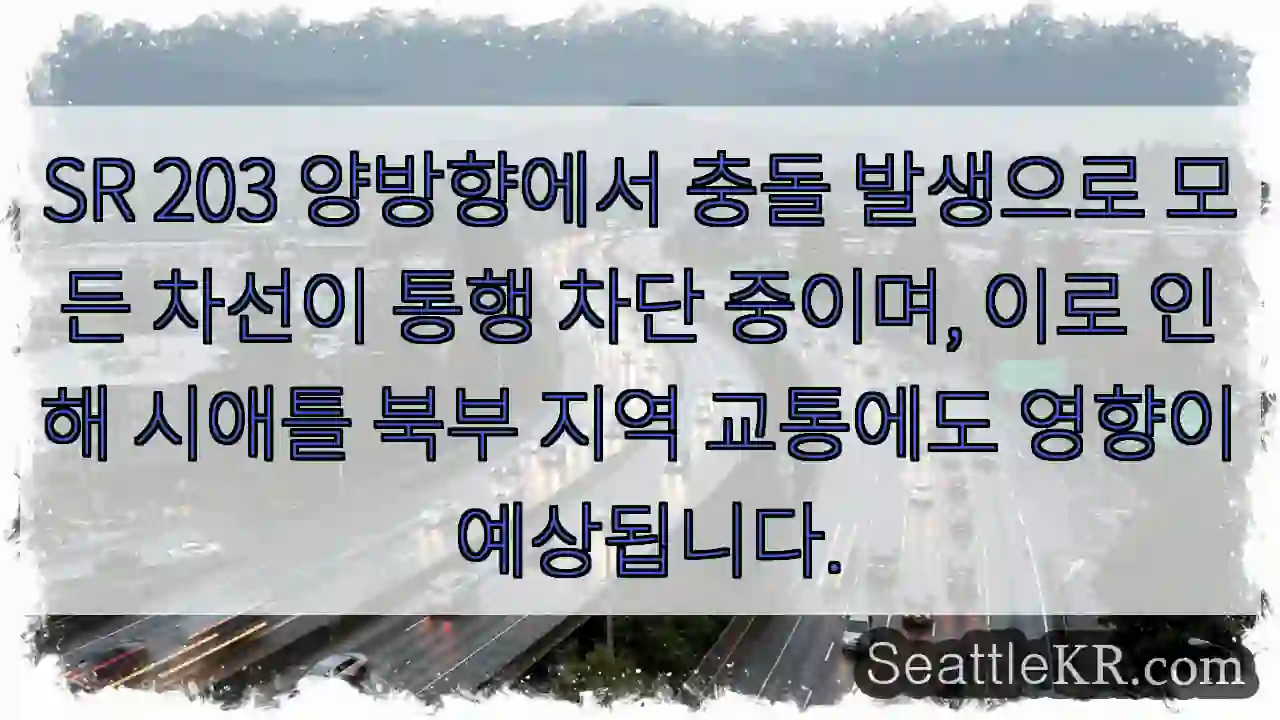 충돌! 모든 차선 통행 차단