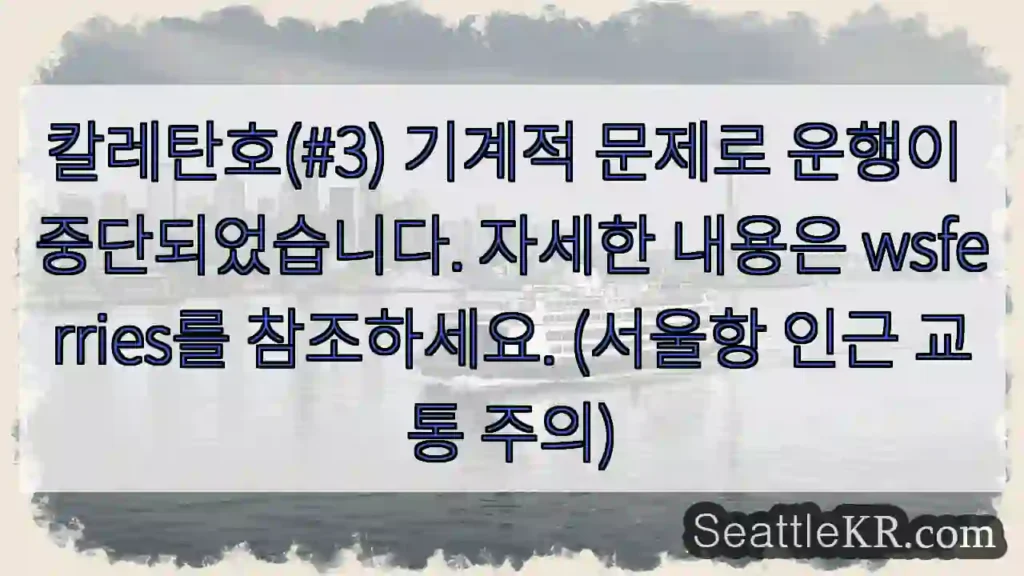 기계 문제로 정지! wsferries 확인