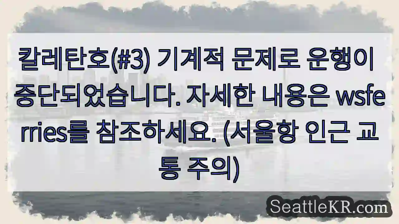 기계 문제로 정지! wsferries 확인