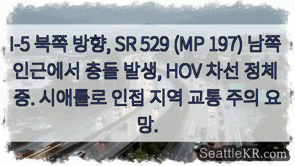 충돌! HOV 정체