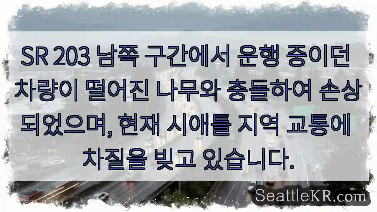 나무와 충돌! 교통 혼잡 주의