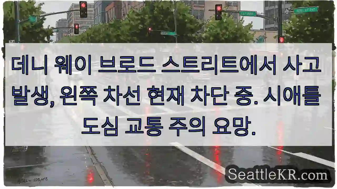 데니 웨이 차단 중! 주의!