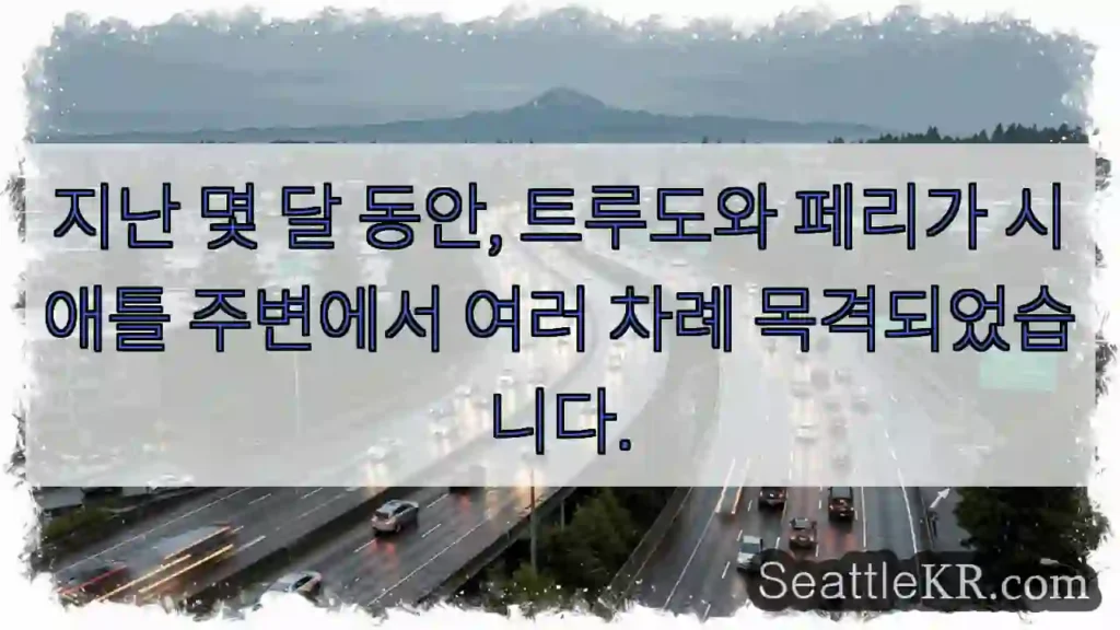 트루도와 페리, 시애틀로!