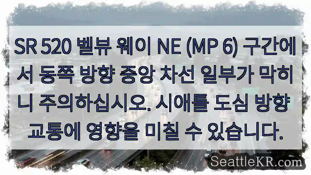 주의: 중앙 차선 막힘
