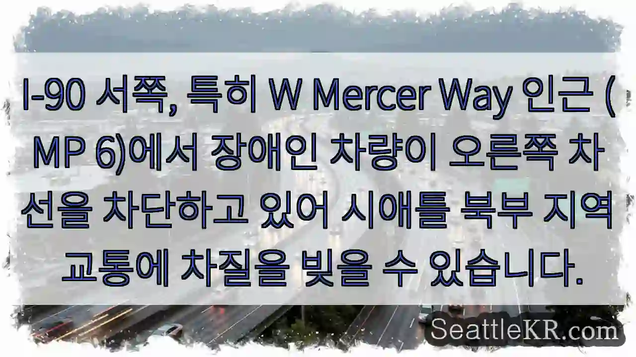 장애인 차량, 오른쪽 차선 차단!