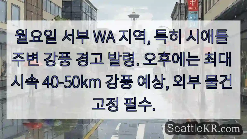 강력한 바람 주의! 시애틀 강풍!