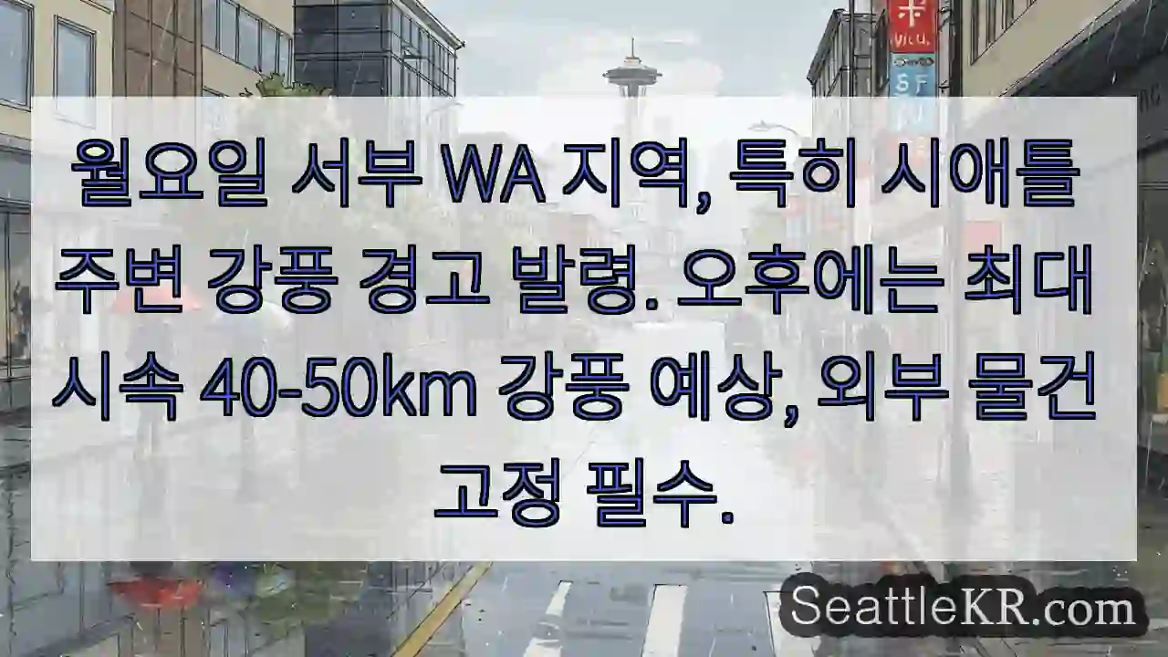 강력한 바람 주의! 시애틀 강풍!