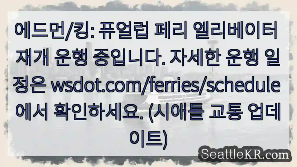 페리 운행 재개! 확인!