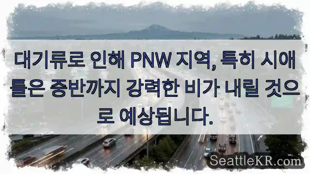 강력한 비 주의! PNW