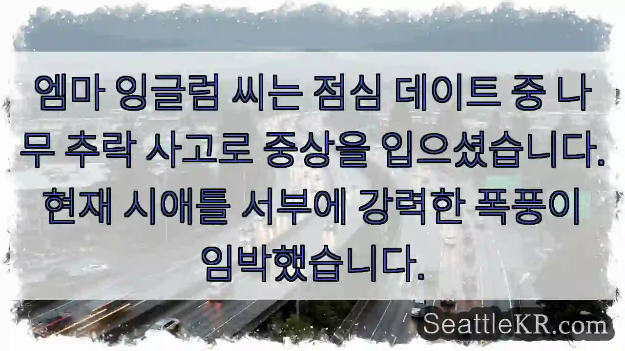 경고: 나무 추락!