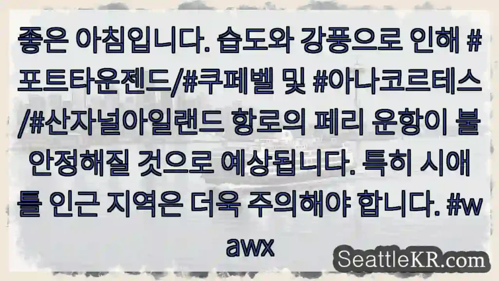 강풍과 습도 주의! 페리 운항 불안정