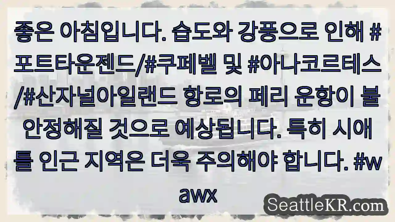 강풍과 습도 주의! 페리 운항 불안정
