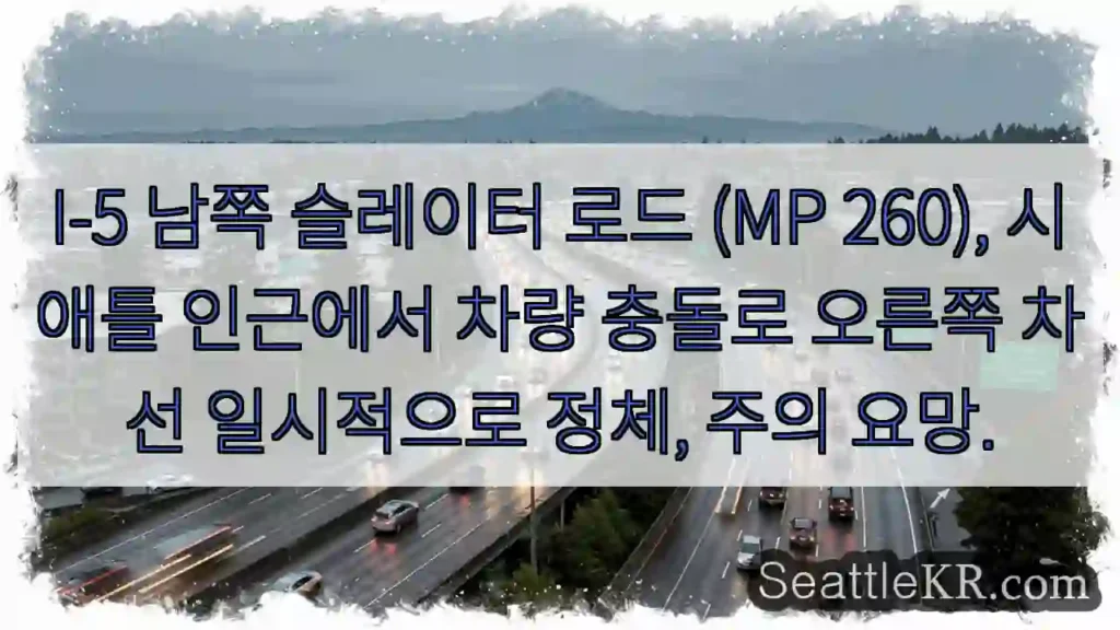 이구원! 5번 고속도로 사고