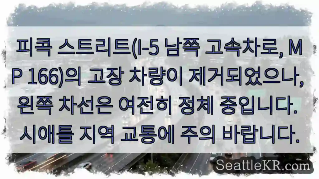 피콕 차선 정체 주의