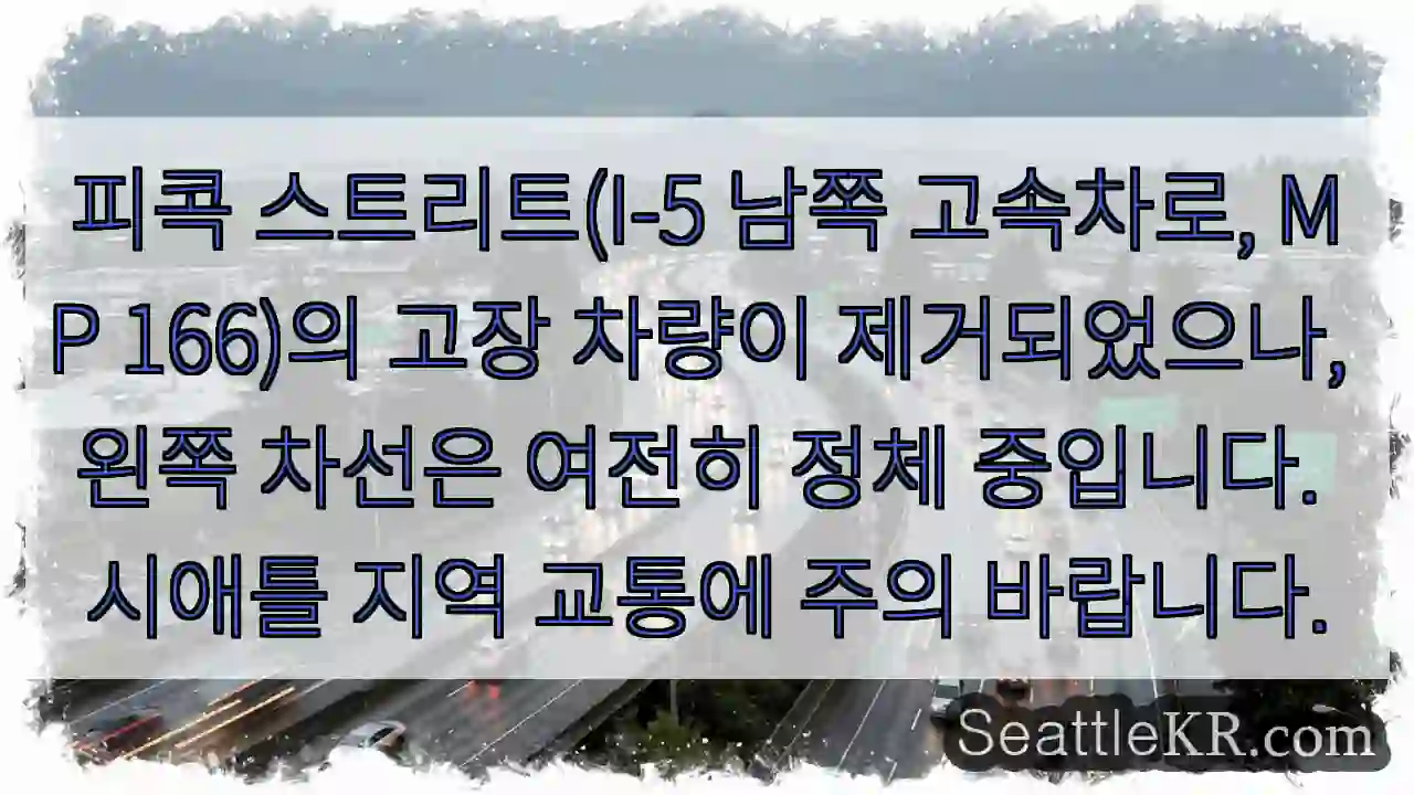 피콕 차선 정체 주의