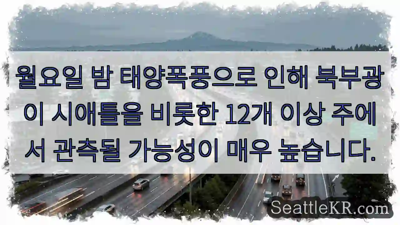 북부광, 월요일 밤!