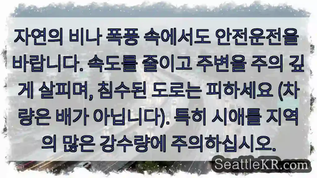 주의: 침수 도로 피하세요