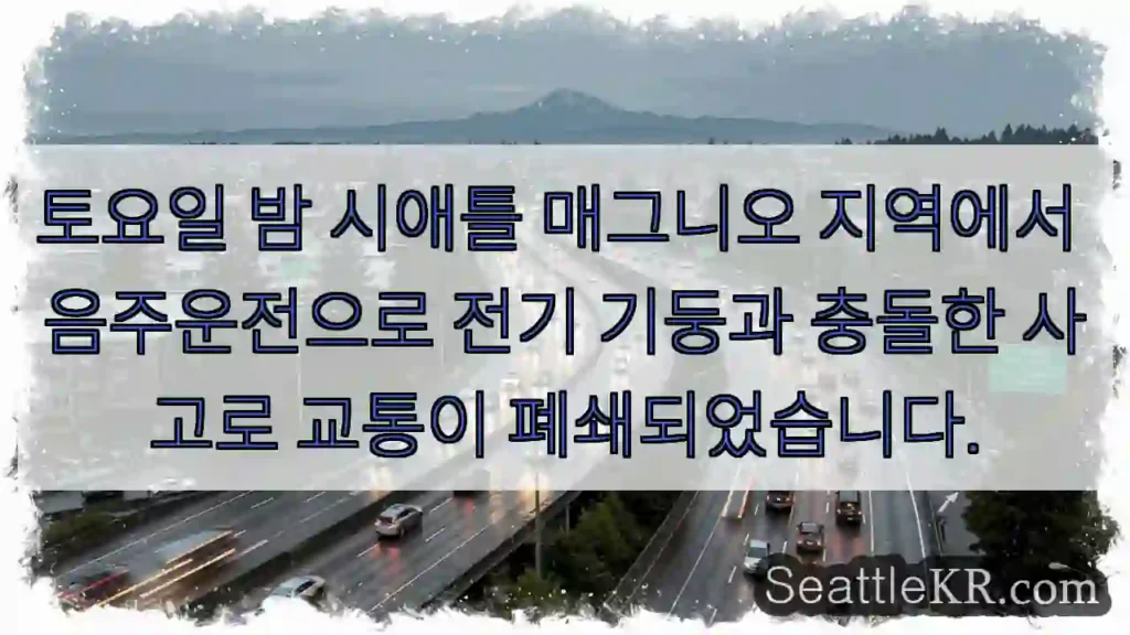 사고! 매그니오 교통 폐쇄