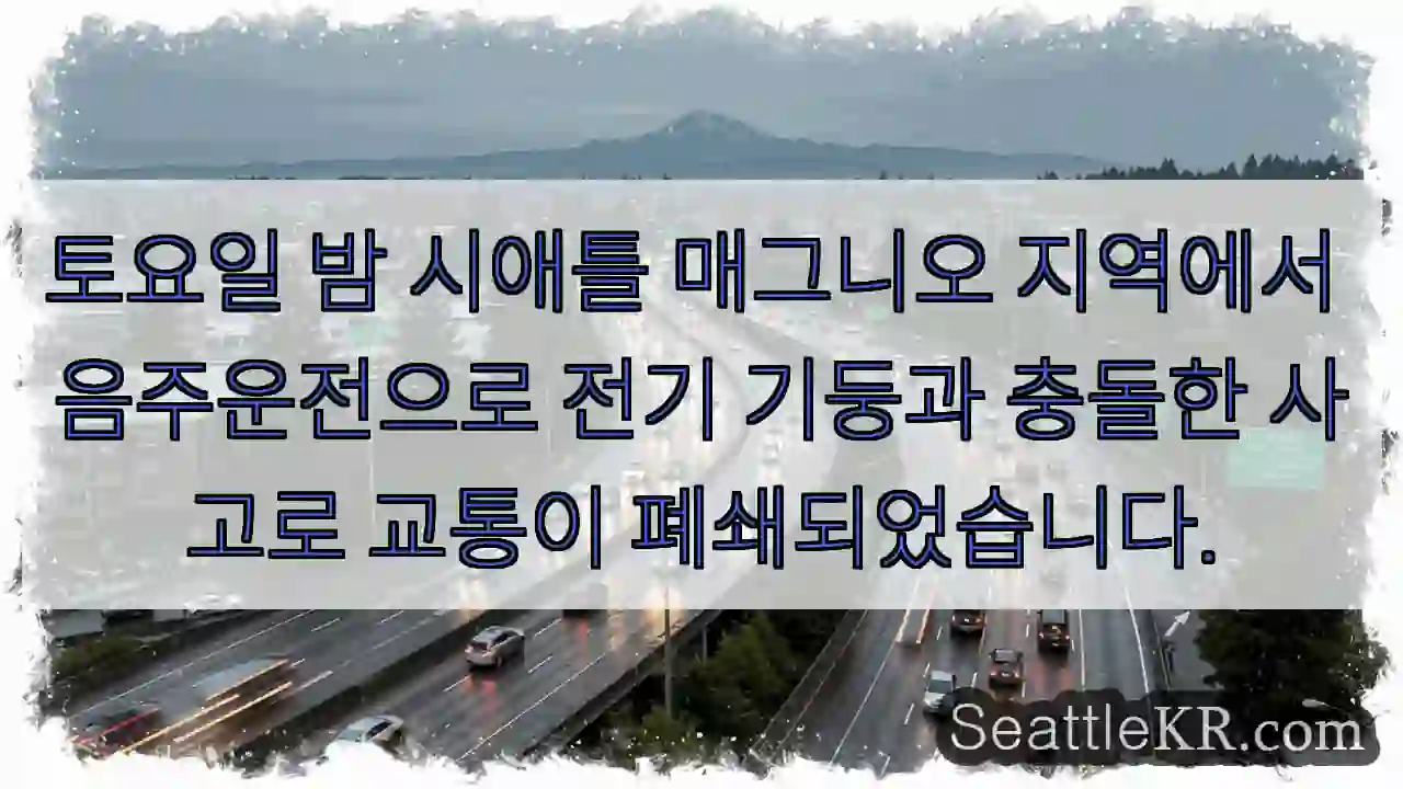 사고! 매그니오 교통 폐쇄