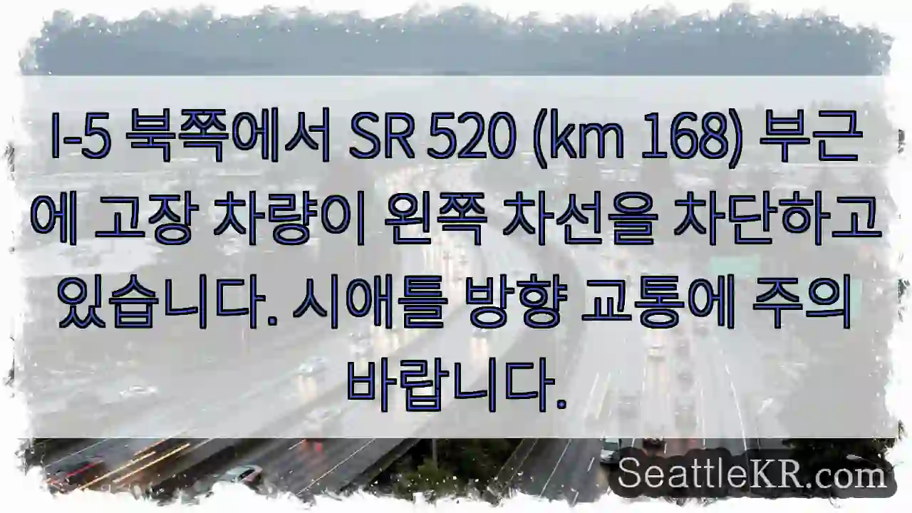 도로 왼쪽 차단! 주의 필요