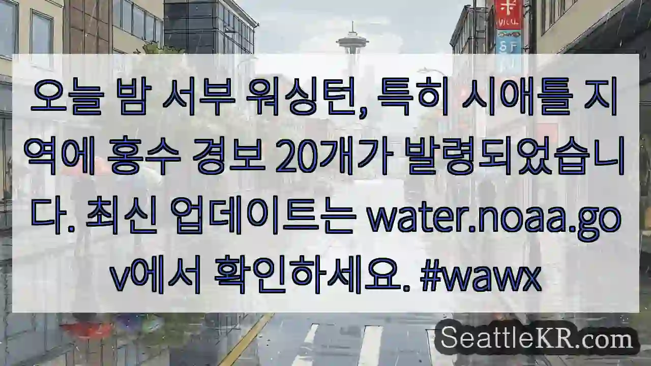 시애틀 날씨뉴스 5 주의: 홍수 경보 20개 발령
