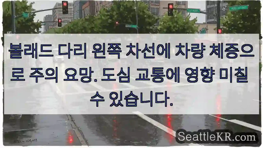 차량 체증! 주의!