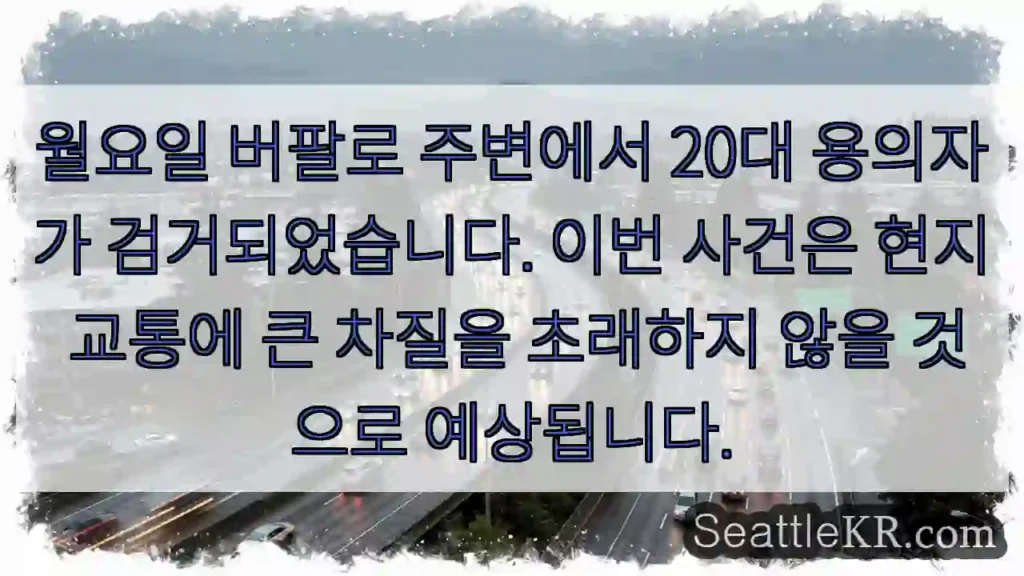 버팔로 용의자 체포!