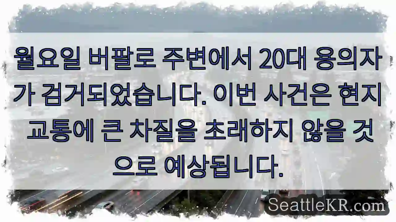 버팔로 용의자 체포!