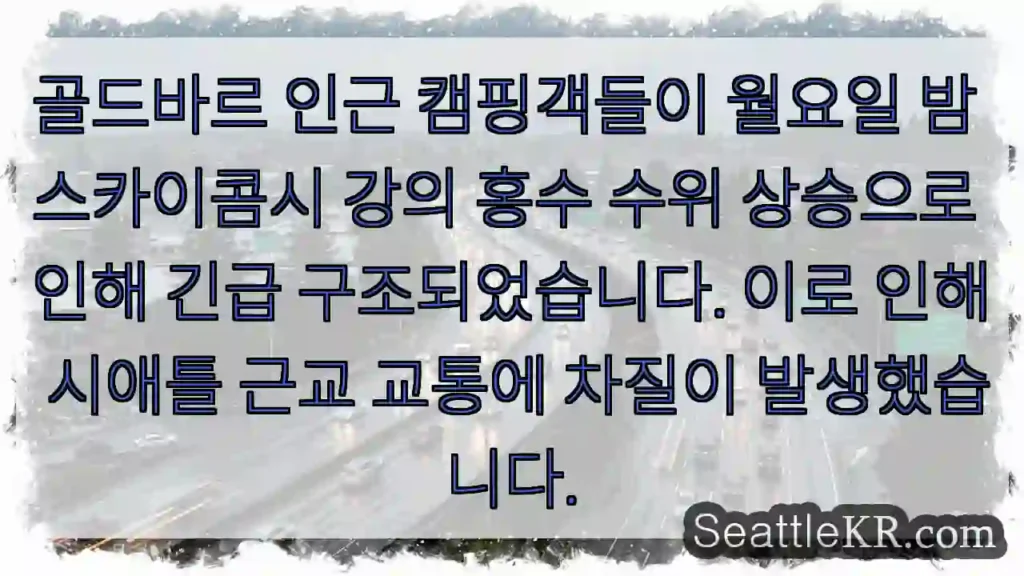 골든바흐 홍수! 구조 중