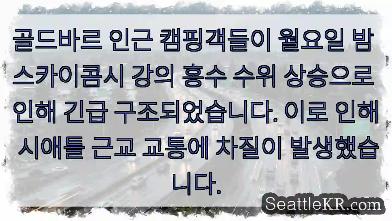 골든바흐 홍수! 구조 중