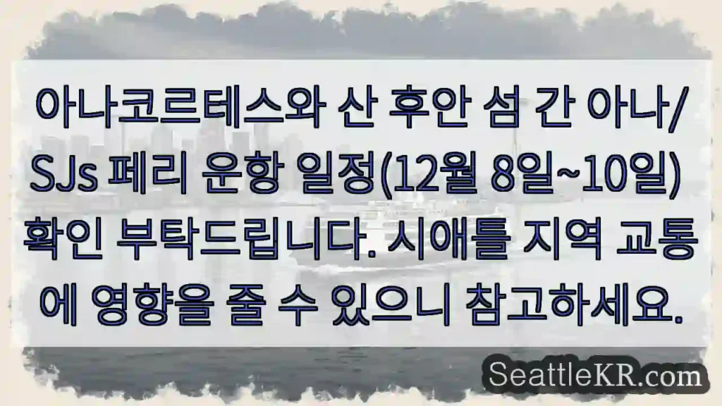 아나코르테스-산산후안 페리 12/8~10