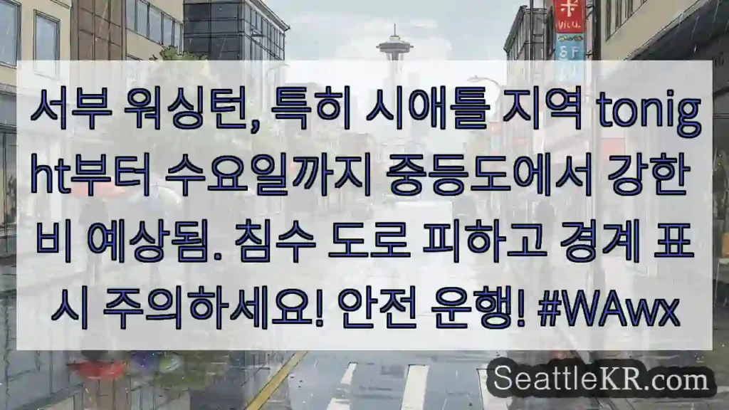 시애틀 날씨뉴스 6 주의: 중등도~강수