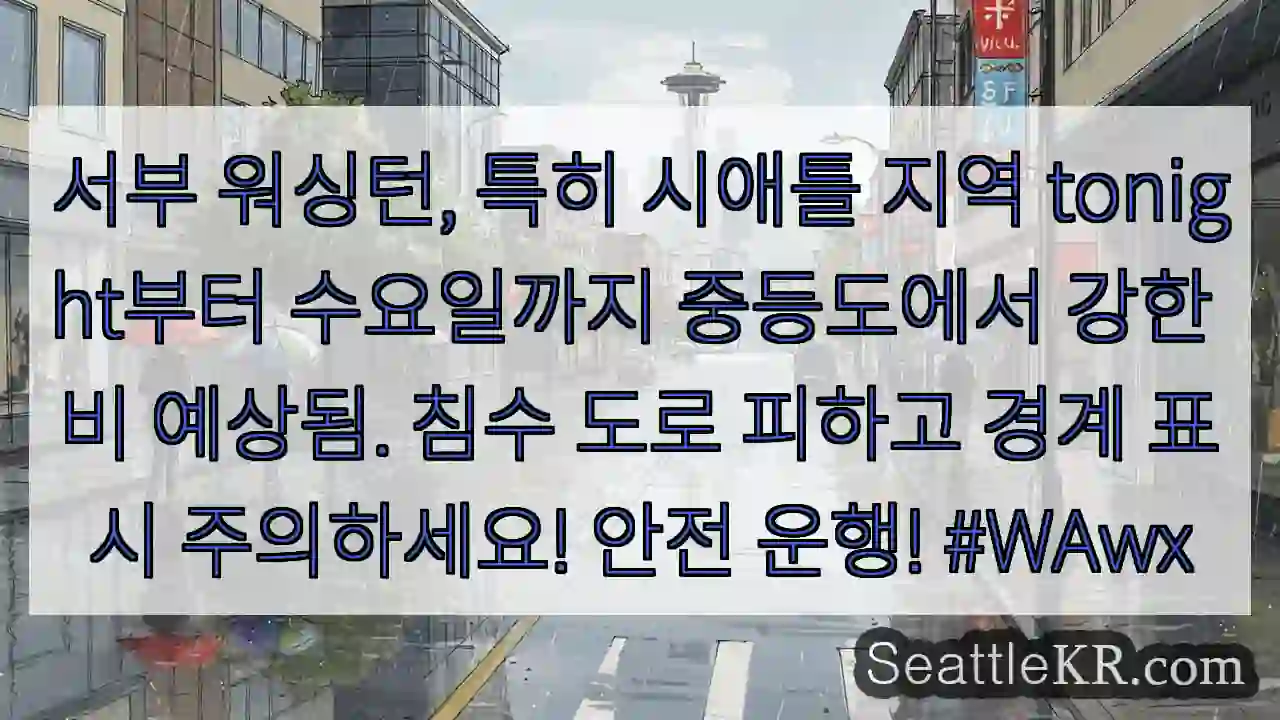 시애틀 날씨뉴스 7 주의: 중등도~강수