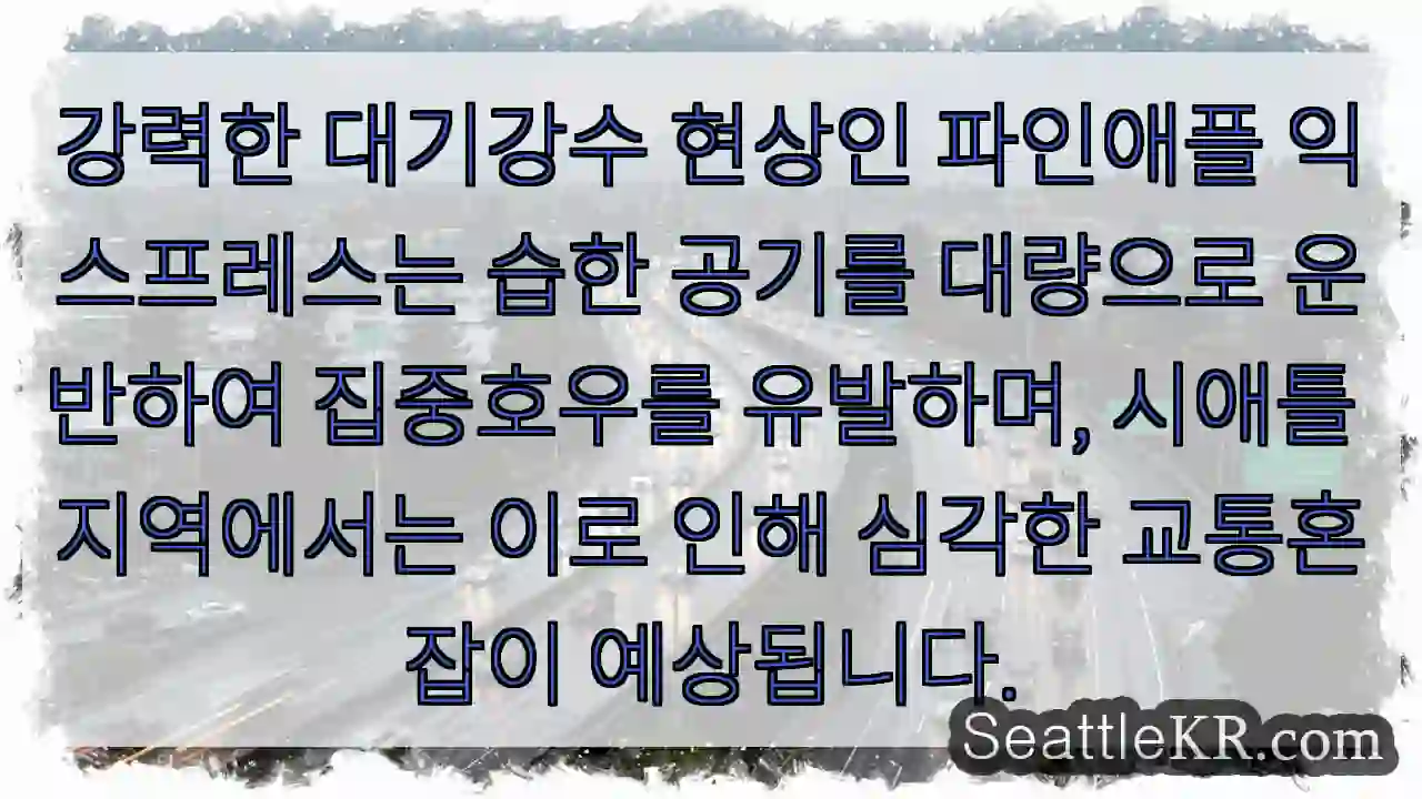 파인애플 폭풍! 시애틀 교통 비상