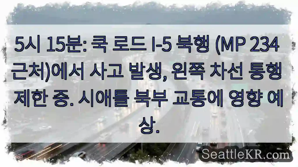 사고 발생! 왼쪽 차선 주의