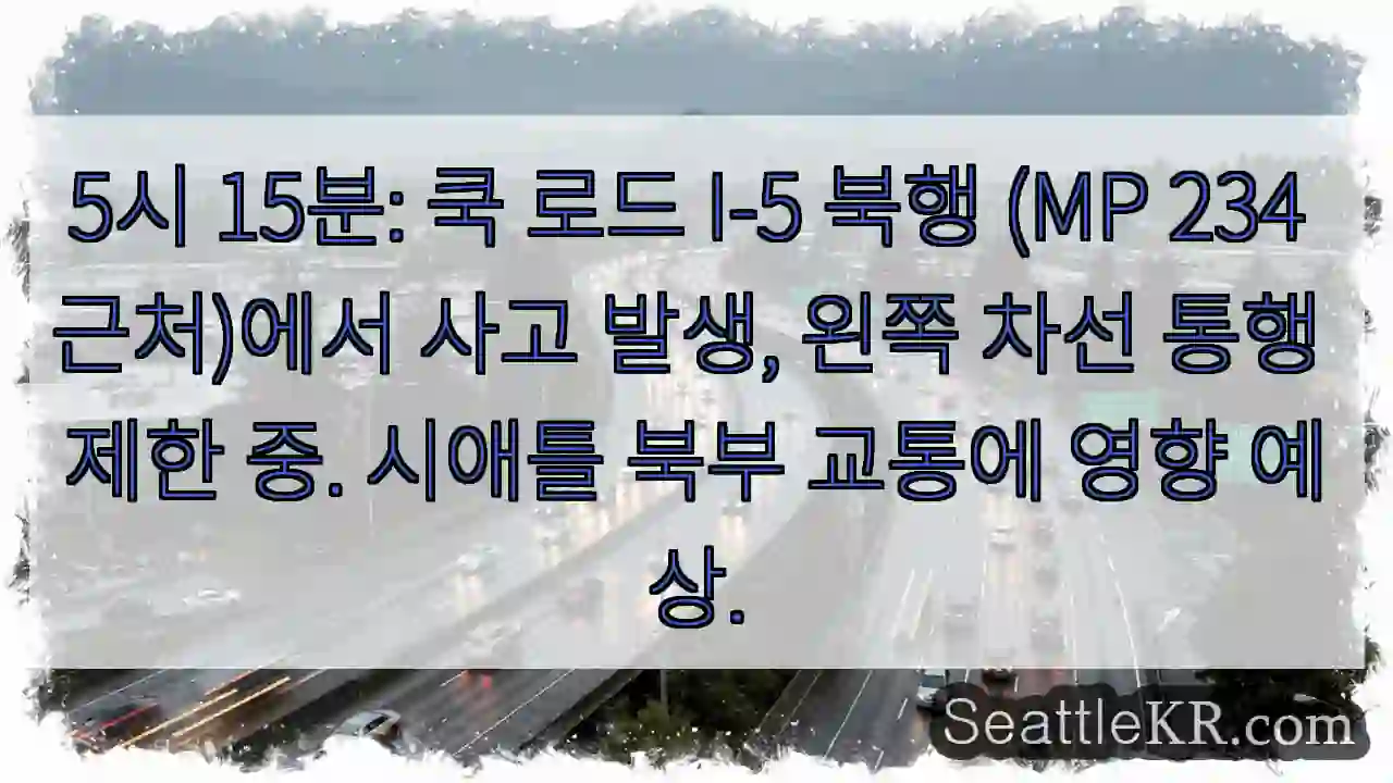 사고 발생! 왼쪽 차선 주의
